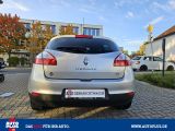 Renault Megane bei Sportwagen.expert - Abbildung (6 / 15)