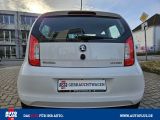 Skoda Citigo bei Sportwagen.expert - Abbildung (6 / 15)