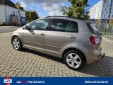 VW Golf Plus bei Sportwagen.expert - Abbildung (4 / 15)