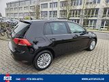 VW Golf bei Sportwagen.expert - Abbildung (8 / 15)