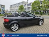 Audi A3 Cabriolet bei Sportwagen.expert - Abbildung (9 / 15)