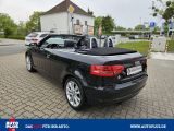 Audi A3 Cabriolet bei Sportwagen.expert - Abbildung (6 / 15)