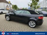 Audi A3 Cabriolet bei Sportwagen.expert - Abbildung (4 / 15)