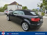 Audi A3 Cabriolet bei Sportwagen.expert - Abbildung (5 / 15)