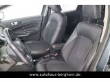 Ford EcoSport bei Sportwagen.expert - Abbildung (11 / 15)