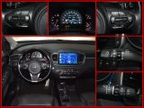 Kia Sorento bei Sportwagen.expert - Abbildung (10 / 10)