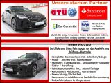 Kia Stinger bei Sportwagen.expert - Abbildung (3 / 10)