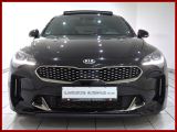 Kia Stinger bei Sportwagen.expert - Abbildung (5 / 10)