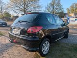 Peugeot 206 bei Sportwagen.expert - Abbildung (4 / 15)
