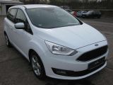 Ford C-MAX bei Sportwagen.expert - Abbildung (4 / 13)