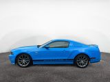 Ford Mustang bei Sportwagen.expert - Abbildung (2 / 15)