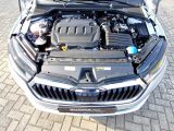 Skoda Octavia bei Sportwagen.expert - Abbildung (15 / 15)