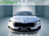 Skoda Octavia bei Sportwagen.expert - Abbildung (5 / 15)