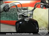 Harley-Davidson Softail bei Sportwagen.expert - Abbildung (10 / 15)