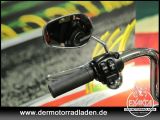 Harley-Davidson Softail bei Sportwagen.expert - Abbildung (12 / 15)