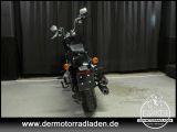 Harley-Davidson Softail bei Sportwagen.expert - Abbildung (4 / 15)