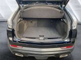 Cadillac XT4 bei Sportwagen.expert - Abbildung (6 / 15)