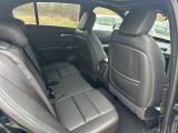 Cadillac XT4 bei Sportwagen.expert - Abbildung (13 / 15)