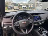 Cadillac XT4 bei Sportwagen.expert - Abbildung (14 / 15)