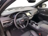 Cadillac XT4 bei Sportwagen.expert - Abbildung (11 / 15)