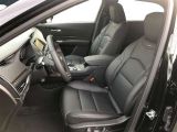 Cadillac XT4 bei Sportwagen.expert - Abbildung (10 / 15)