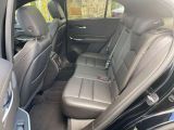 Cadillac XT4 bei Sportwagen.expert - Abbildung (12 / 15)