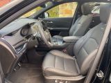 Cadillac XT4 bei Sportwagen.expert - Abbildung (9 / 15)