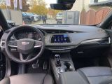 Cadillac XT4 bei Sportwagen.expert - Abbildung (14 / 15)