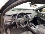 Cadillac XT4 bei Sportwagen.expert - Abbildung (11 / 15)