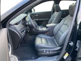 Cadillac XT4 bei Sportwagen.expert - Abbildung (10 / 15)