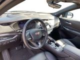 Cadillac XT4 bei Sportwagen.expert - Abbildung (11 / 15)
