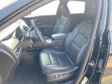 Cadillac XT4 bei Sportwagen.expert - Abbildung (10 / 15)
