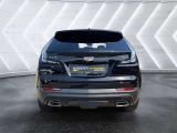 Cadillac XT4 bei Sportwagen.expert - Abbildung (8 / 15)