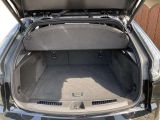 Cadillac XT4 bei Sportwagen.expert - Abbildung (6 / 15)