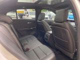 Cadillac XT4 bei Sportwagen.expert - Abbildung (14 / 15)