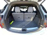 Cadillac XT6 bei Sportwagen.expert - Abbildung (11 / 15)