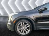 Cadillac XT4 bei Sportwagen.expert - Abbildung (5 / 15)