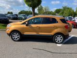 Ford EcoSport bei Sportwagen.expert - Abbildung (3 / 10)