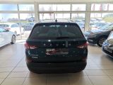 Skoda Kodiaq bei Sportwagen.expert - Abbildung (6 / 15)
