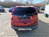 Honda CR-V bei Sportwagen.expert - Abbildung (6 / 14)