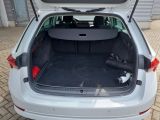 Skoda Octavia bei Sportwagen.expert - Abbildung (8 / 15)