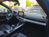 Audi A4 bei Sportwagen.expert - Abbildung (13 / 15)