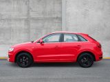 Audi Q3 bei Sportwagen.expert - Abbildung (2 / 15)