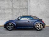 VW Beetle bei Sportwagen.expert - Abbildung (2 / 15)