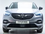 Opel Grandland X bei Sportwagen.expert - Abbildung (13 / 15)