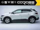 Opel Grandland X bei Sportwagen.expert - Abbildung (3 / 15)