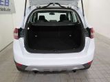 Ford Kuga bei Sportwagen.expert - Abbildung (5 / 14)