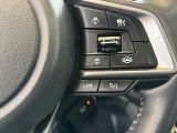 Subaru Outback bei Sportwagen.expert - Abbildung (10 / 15)