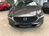 Mazda CX-30 bei Sportwagen.expert - Abbildung (3 / 15)