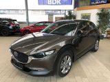 Mazda CX-30 bei Sportwagen.expert - Abbildung (2 / 15)